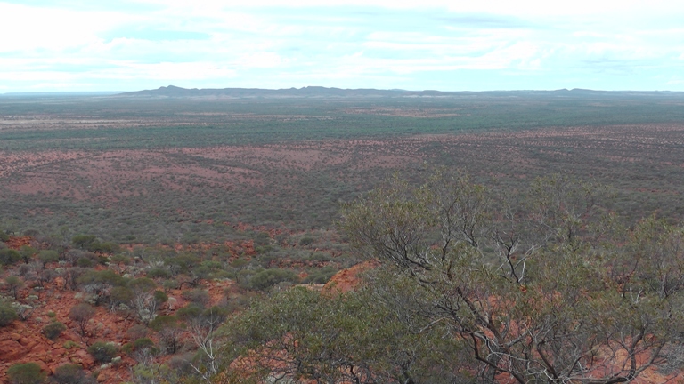 Gordgeela Lookout